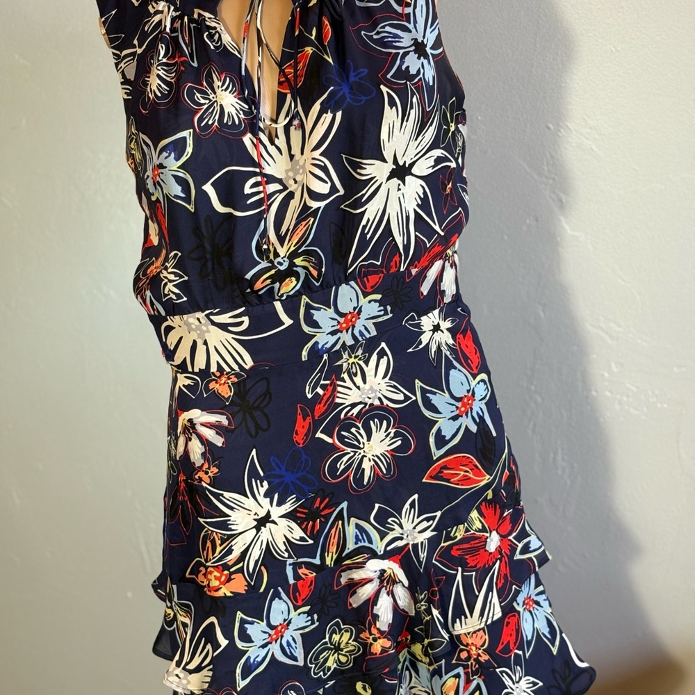 Parker NY Matilda Silk Sleeveless Floral Dress Size Small